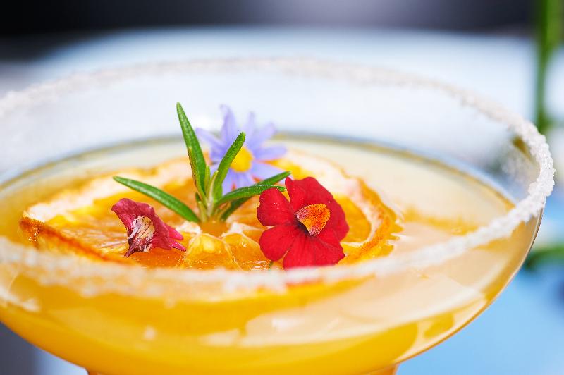Convento do Seixo Boutique Hotel & Spa - Bar