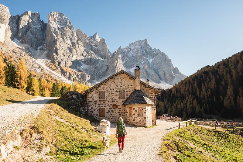 Brunet The Dolomites Resort - Aktivite