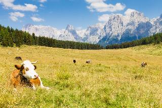 Brunet The Dolomites Resort fotoÄŸrafÄ±
