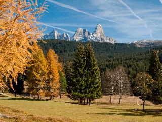 Brunet The Dolomites Resort fotoÄŸrafÄ±