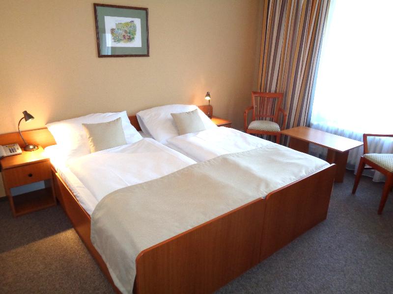 Spa Hotel Devin - Oda