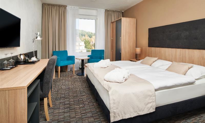Spa Hotel Devin - Oda