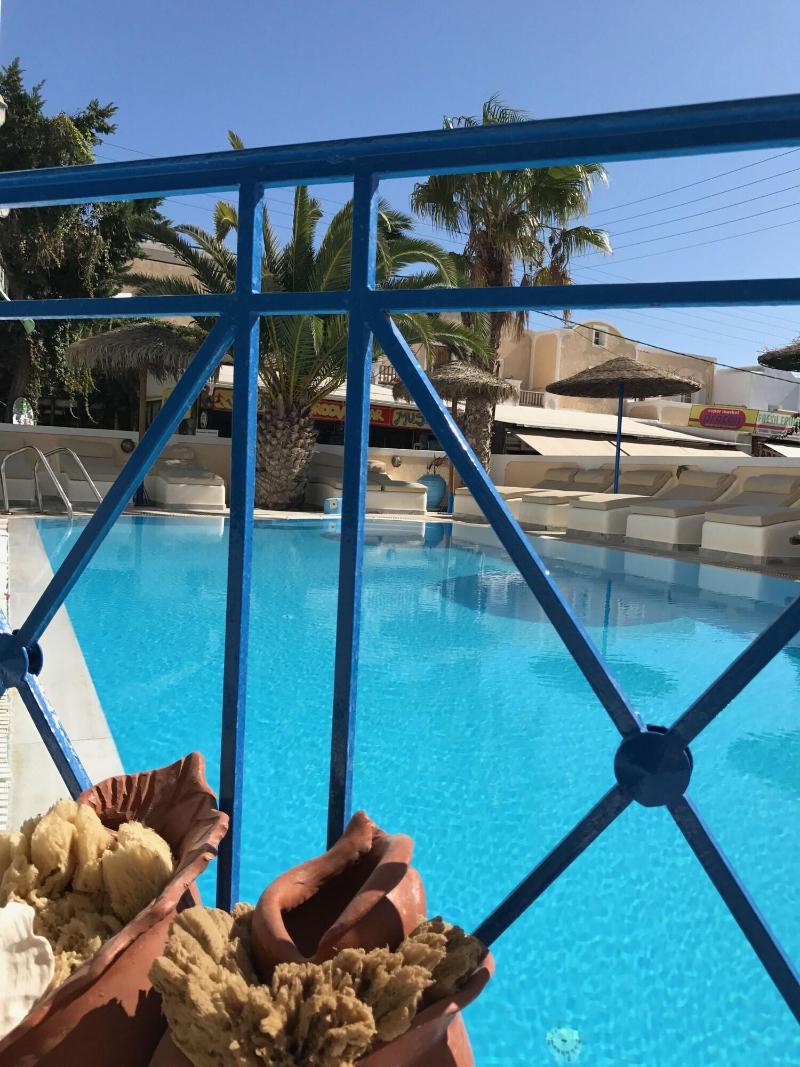 Dioskouri Art Villas - Aktivite
