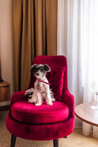 Amsterdam hotel fotoÄŸrafÄ±