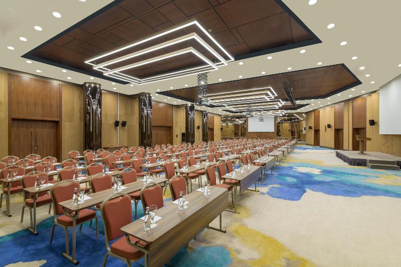 Crowne Plaza KAPADOKYA - NEVŞEHIR by IHG - Toplantı