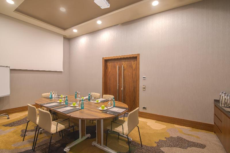 Crowne Plaza KAPADOKYA - NEVŞEHIR by IHG - Toplantı