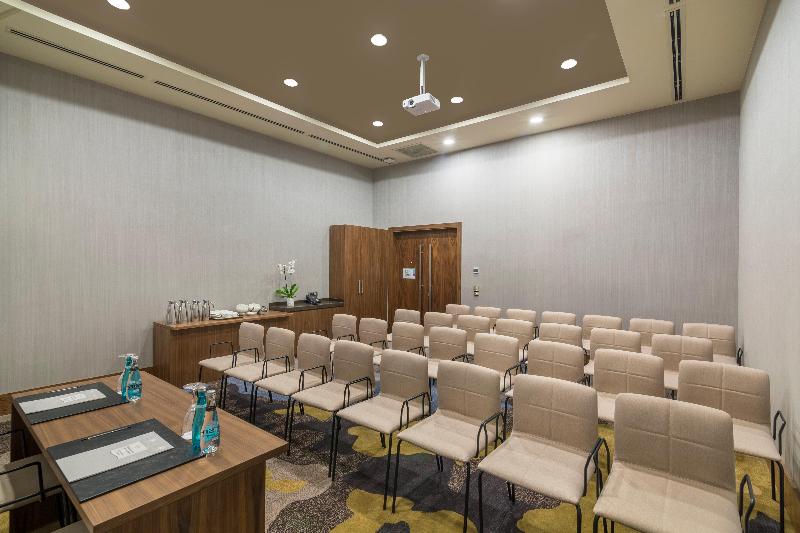 Crowne Plaza KAPADOKYA - NEVŞEHIR by IHG - Toplantı
