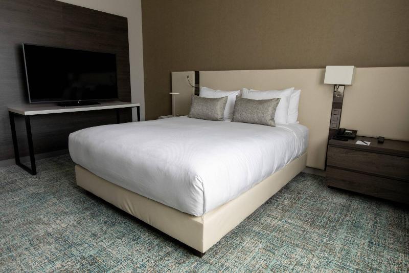 Hôtel Residence Inn Toulouse-Blagnac - Oda