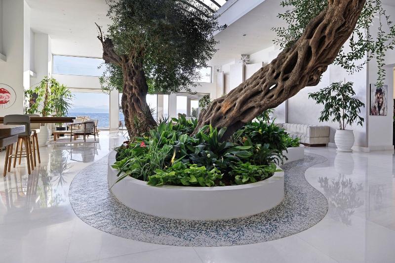 Domes Miramare, a Luxury Collection Resort, Corfu - Lobi