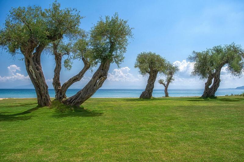 Domes Miramare, a Luxury Collection Resort, Corfu - Oda