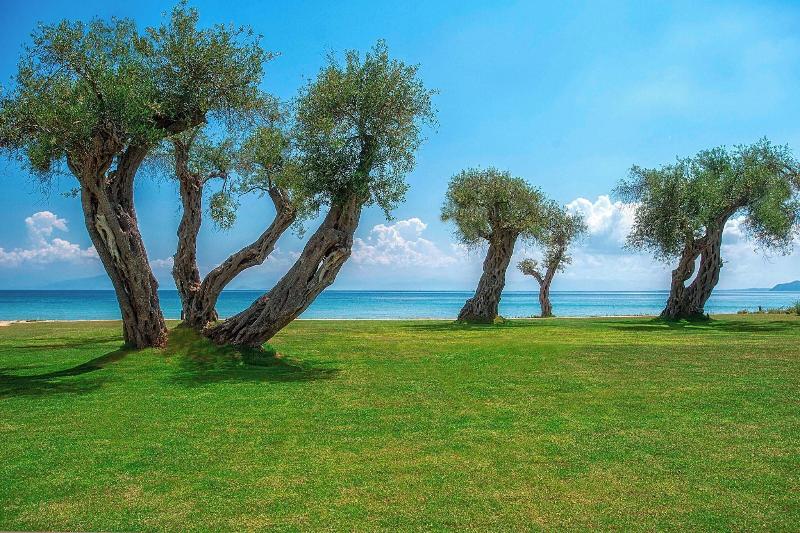 Domes Miramare, a Luxury Collection Resort, Corfu - Oda