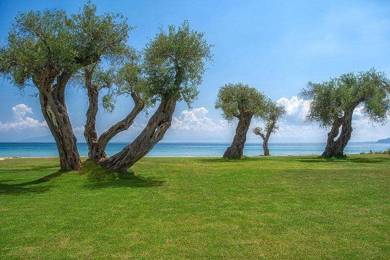 Domes Miramare, a Luxury Collection Resort, Corfu - Oda