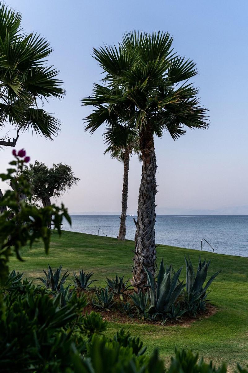 Domes Miramare, a Luxury Collection Resort, Corfu - Teras