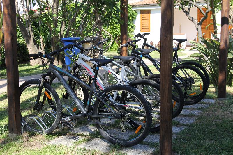 Villaggio il Gabbiano - Aktivite