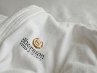 Sheraton Offenbach Hotel fotoÄŸrafÄ±