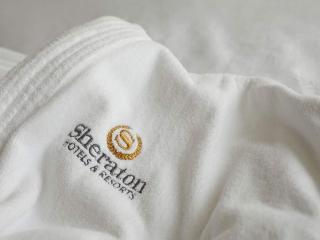 Sheraton Offenbach Hotel fotoÄŸrafÄ±