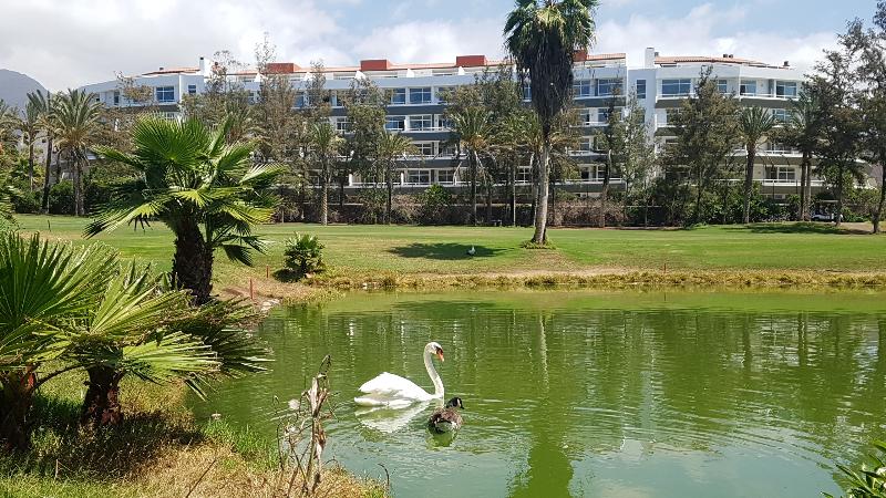 Gara Suites Golf & Spa - Genel