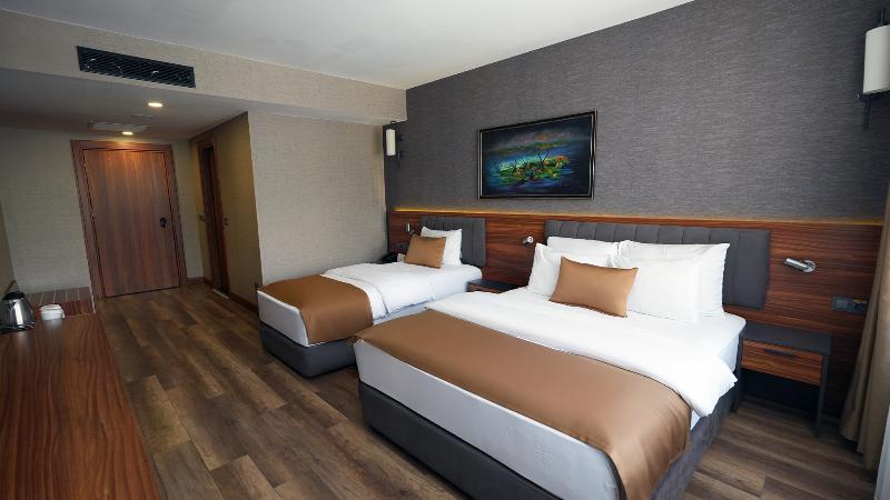 Hilas Thermal Resort & Spa - Oda