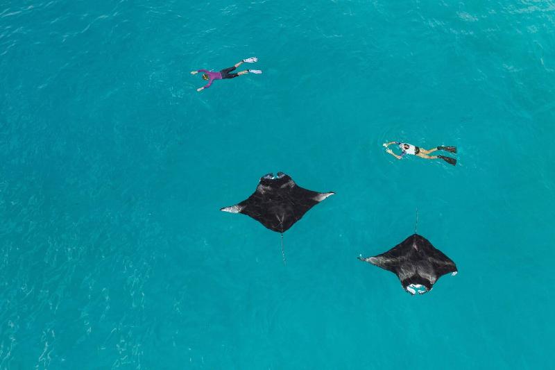 The Westin Maldives Miriandhoo Resort - Genel