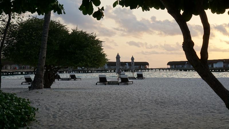 The Westin Maldives Miriandhoo Resort - Plaj