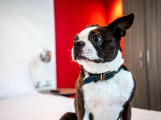 Ibis Styles Glasgow Central fotoÄŸrafÄ±