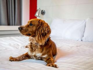 Ibis Styles Glasgow Central fotoÄŸrafÄ±