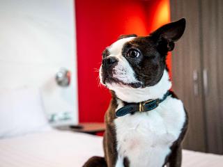 Ibis Styles Glasgow Central fotoÄŸrafÄ±