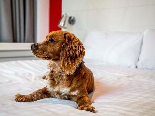 Ibis Styles Glasgow Central fotoÄŸrafÄ±