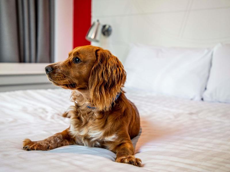 Ibis Styles Glasgow Central - Oda