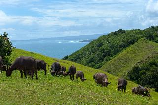Lelewatu Resort Sumba otel fotoğrafı