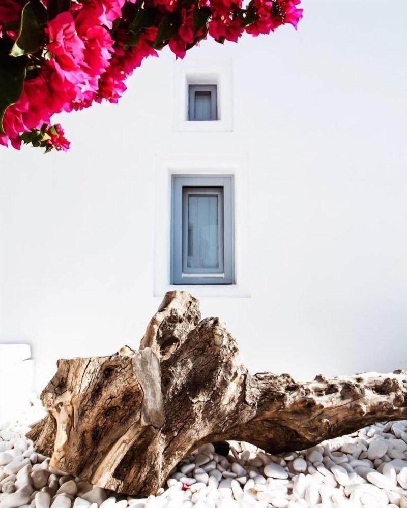 Palmariva Villas - Genel