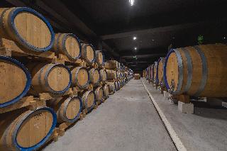 ROXANICH Winery and Design Hotel fotoÄŸrafÄ±