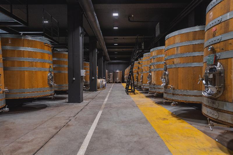 ROXANICH Winery and Design Hotel - Aktivite