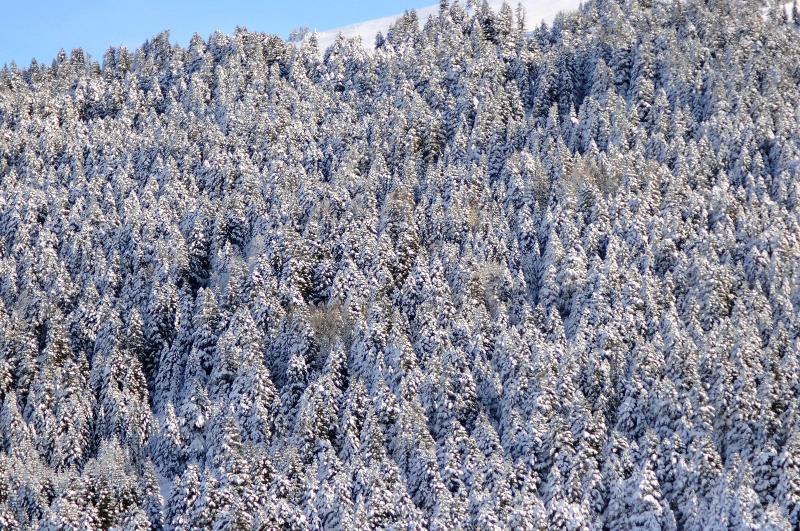 Bof Hotels Uludag Ski & Convention Resort - Genel