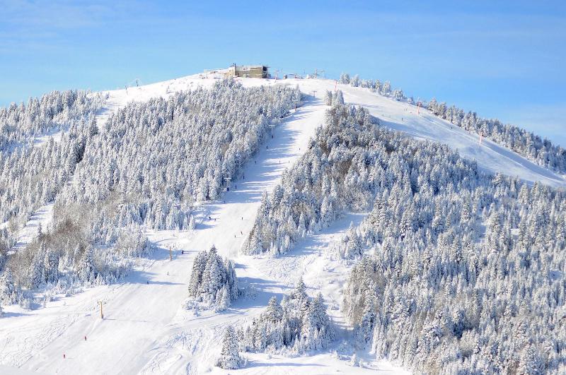 Bof Hotels Uludag Ski & Convention Resort - Genel