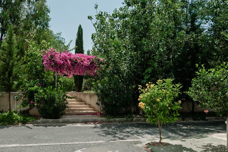 Artemis Cynthia Complex - Lobi