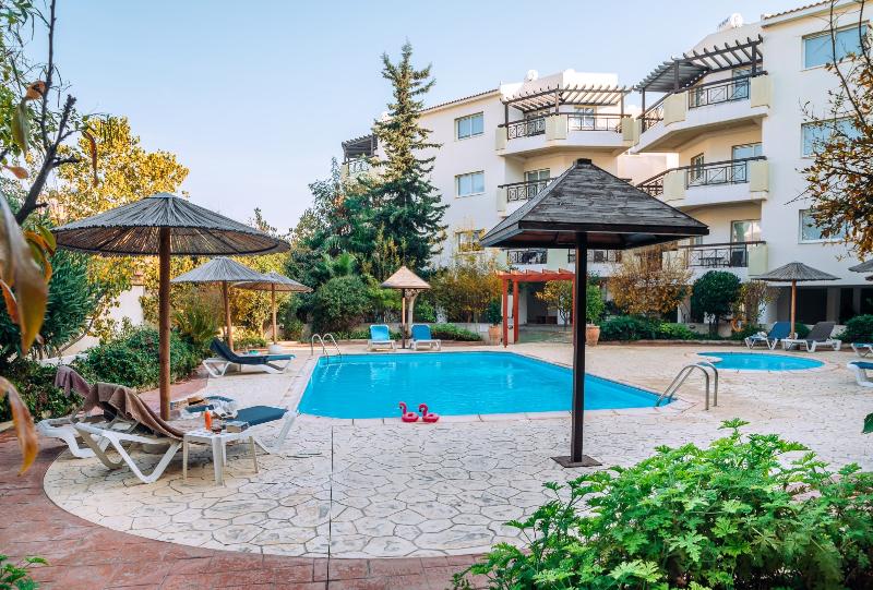Artemis Cynthia Complex - Genel