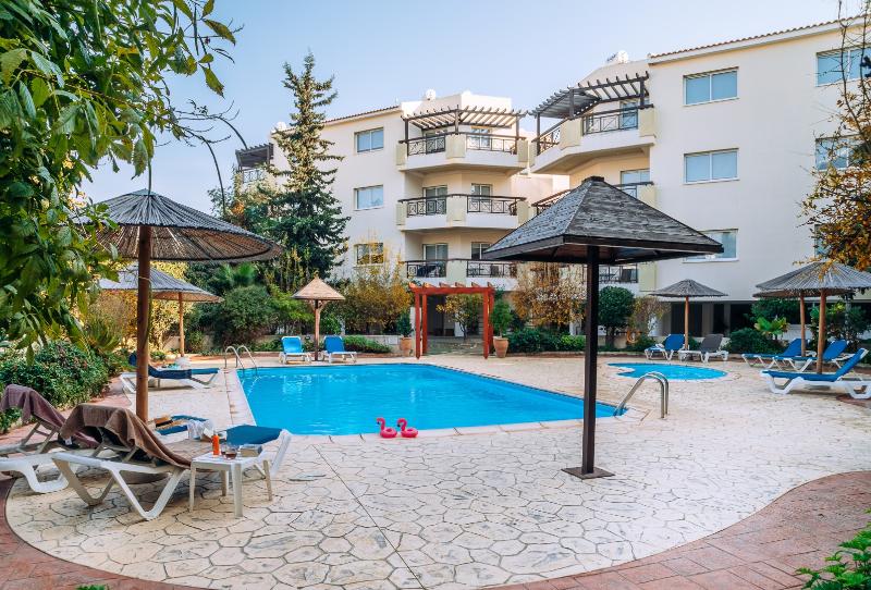 Artemis Cynthia Complex - Genel