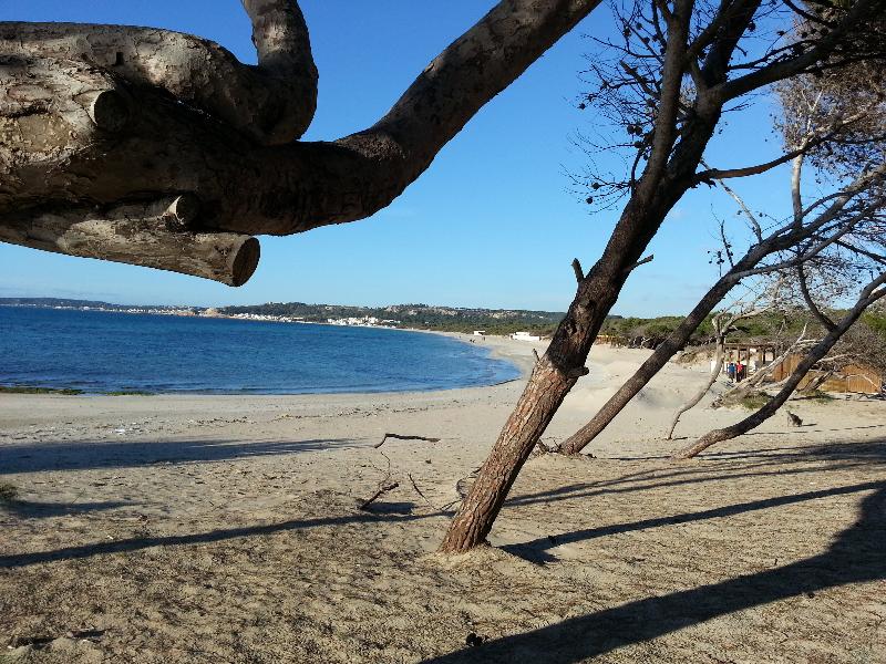 Case Vacanza Rivabella - Genel