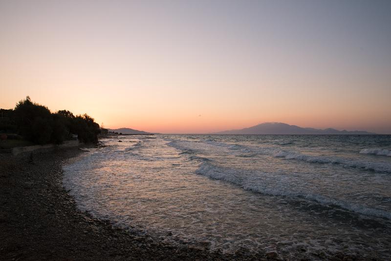 Golden Coast - Genel