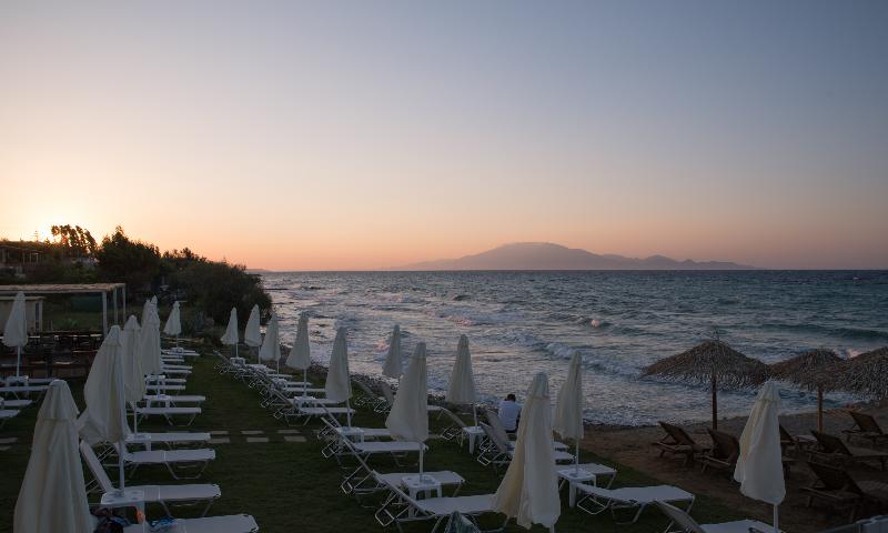 Golden Coast - Genel