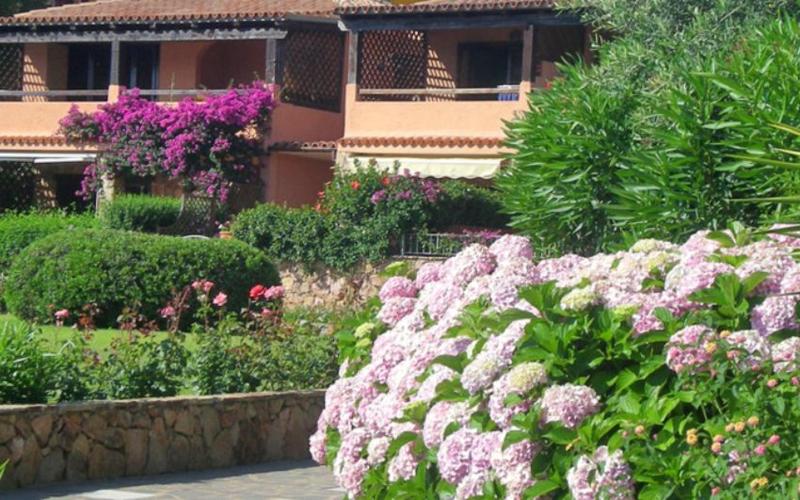 Baia De Bahas Residence - Genel