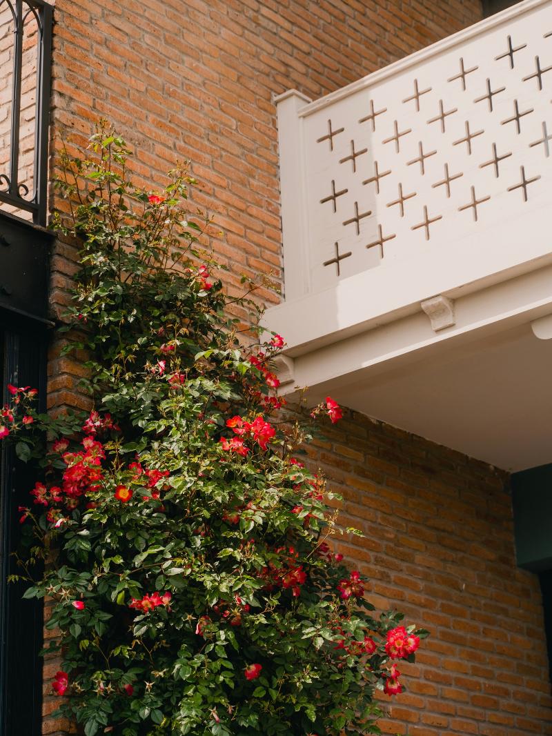 Amante Narikala Hotel - Genel