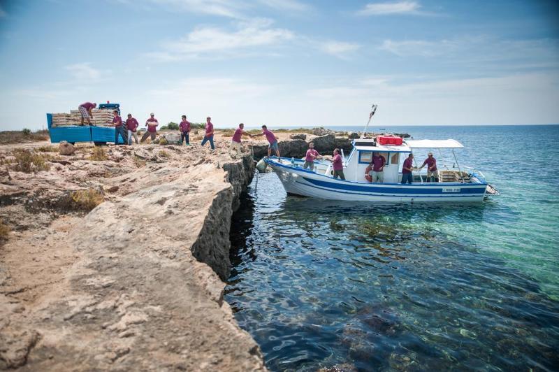 Calamoni Di Favignana - Plaj