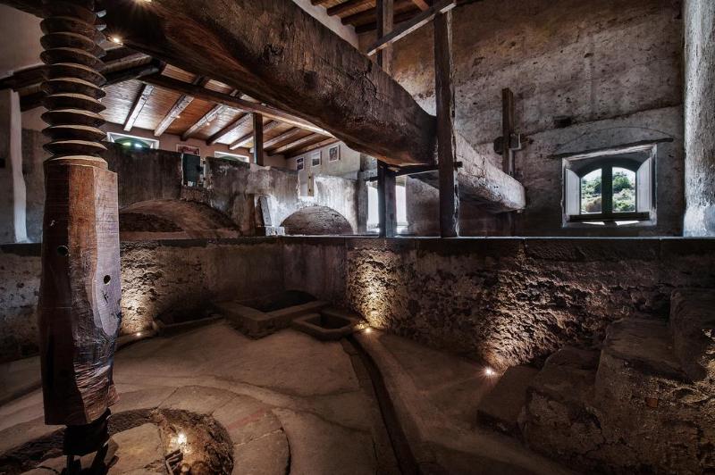 Cavanera Etnea - Resort & Wine Experience - Aktivite