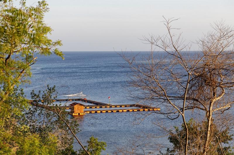 Menjangan Ecolodge - Genel