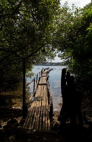 Menjangan Ecolodge fotoÄŸrafÄ±