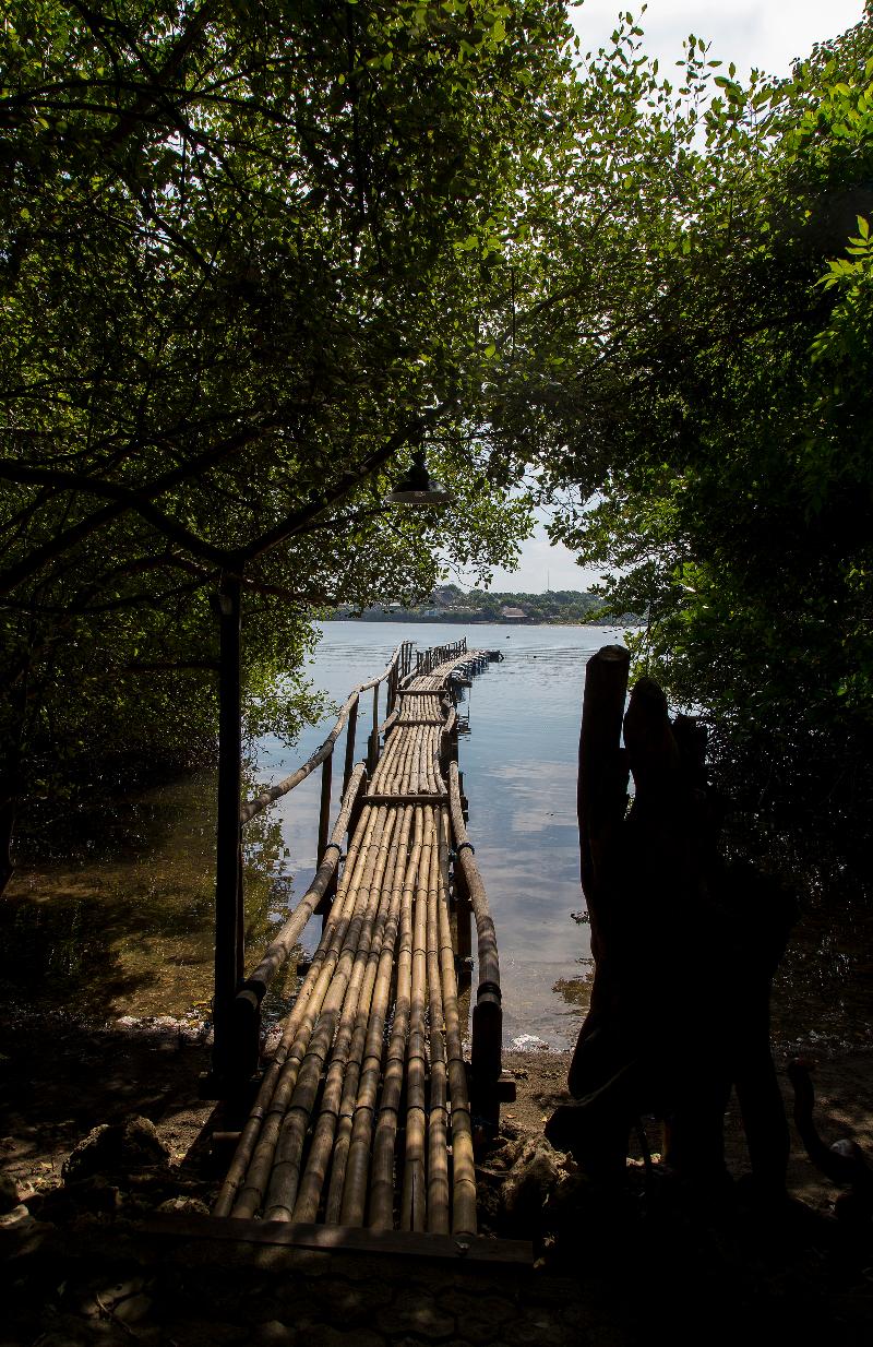 Menjangan Ecolodge - Genel