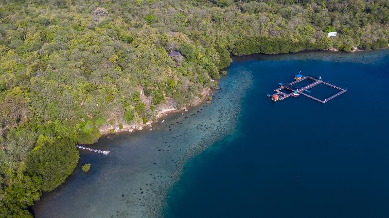 Menjangan Ecolodge - Genel