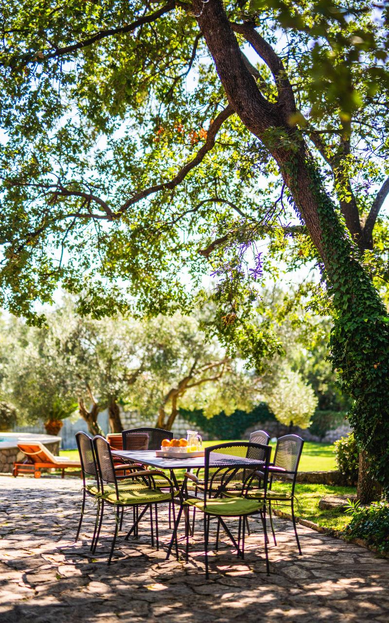 Villa Tereza - Teras